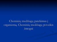 bakterijų patekimas į organizmą per virkštelę
