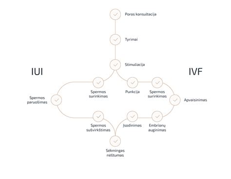 schematinis pagalbinio apvaisinimo (IVF) procesas