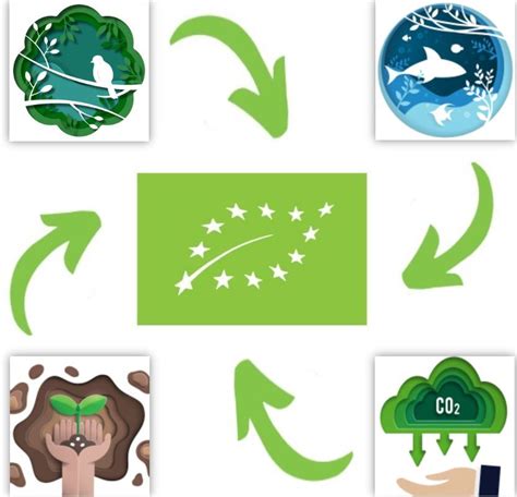 Infografika apie ekologinės žemdirbystės naudą