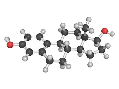 Estrogenų molekulės struktūra