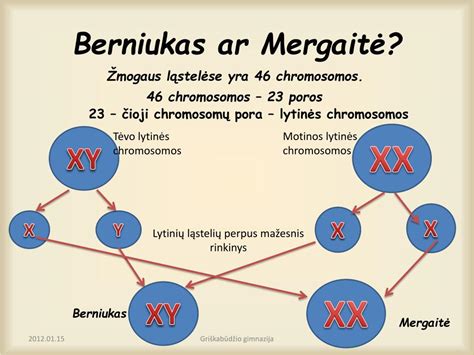 schematinis chromosomų neatsiskyrimas mejozės metu