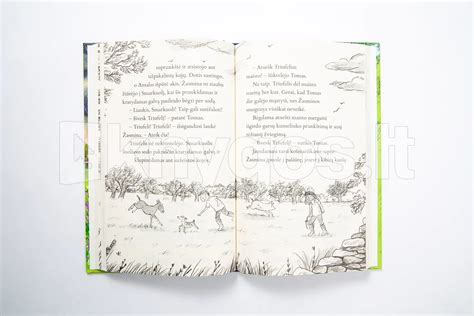 Kumeliukas ganantis pievoje