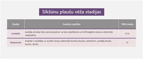 Vizualizacija, iliustruojanti gimdymo stadijas