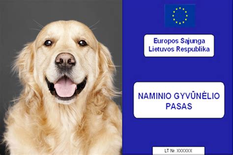 Gyvūnų pasų tikrinimas