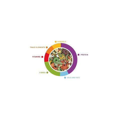 Kūdikio augimo palyginimas su vaisiais ir daržovėmis