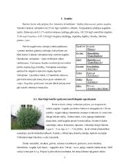 Vaistinių augalų, naudojamų moterų sveikatai, iliustracija