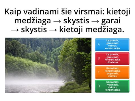 Įvairios tvarios medžiagos (medvilnė, bambukas, modalas) ir jų savybės
