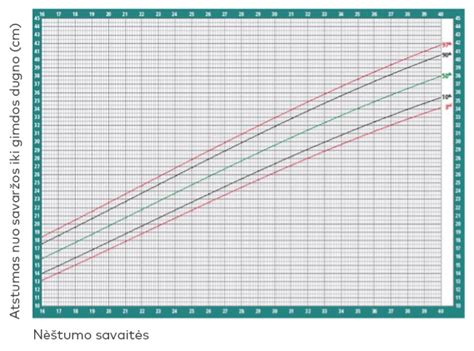 Akušerė matuoja gimdos dugno aukštį