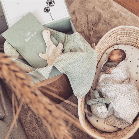 Kūdikio lopšys su žaisliukais