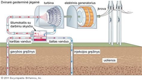 Schema, iliustruojanti intrauterininės inseminacijos procedūrą