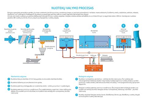 Valymo procesas ant eko odos