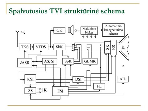 struktūrinė skydliaukės schema