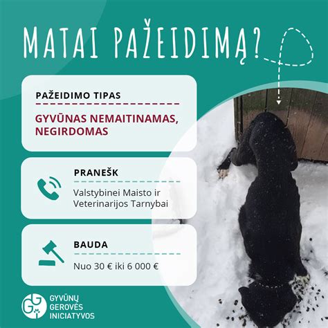 Gyvūnų poravimosi elgesys