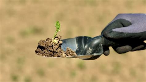 Dirvožemio struktūra ir sudėtis