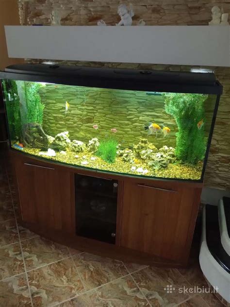 Akvariumas Cattolica