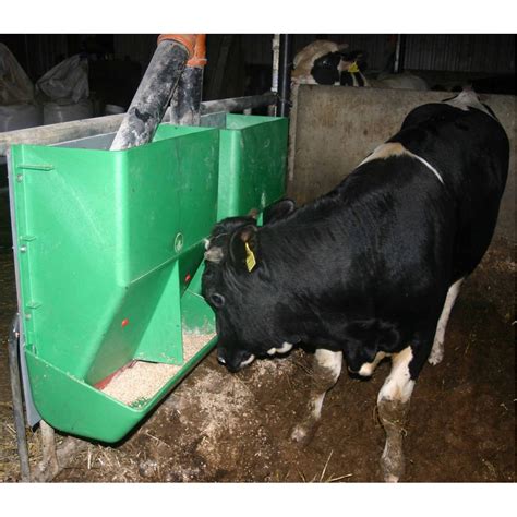 vaiko svorio diagramma, susijusi su antibiotikų dozavimu