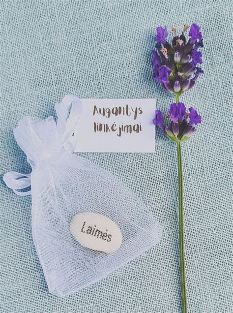 Simbolinis atvaizdas - augantis daigas