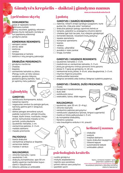 Kelionė į gimdymo namus