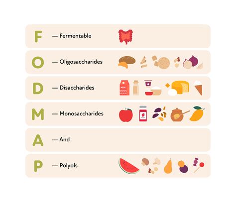Schema, iliustruojanti FODMAP virškinimo procesą