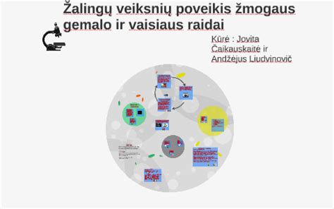 schematinis žmogaus placentos ir vaisiaus ryšys