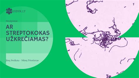 Bakterijos B grupės streptokokas