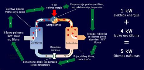 Vaisingumo apyrankės veikimo principas