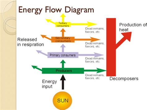 Energy flow diagram in a structure