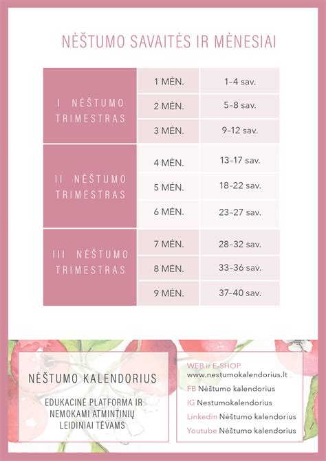 Nėštumo savaitės diagramoje