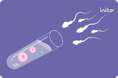 IVF laboratorijos procedūros