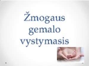 Žmogaus gemalo vystymosi schema