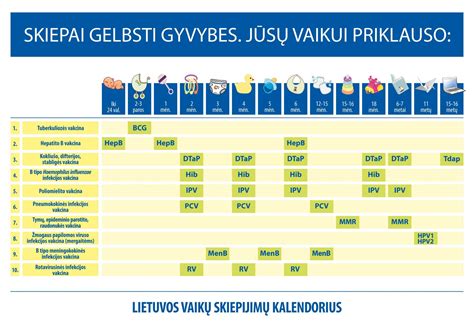 Lietuvos nacionalinis vaikų skiepijimų kalendorius (schematinis)
