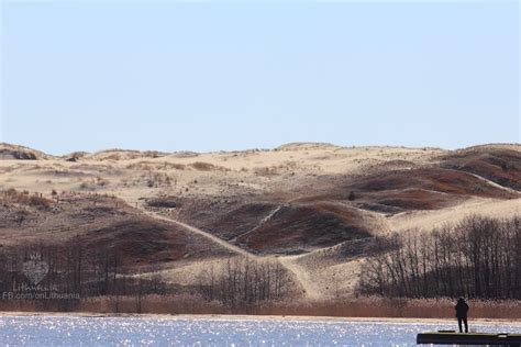 Nidos kopos su pušimis