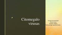 Citomegalo viruso schema