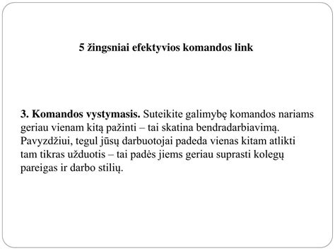 Infografika, vaizduojanti efektyvios komandos dinamikos elementus
