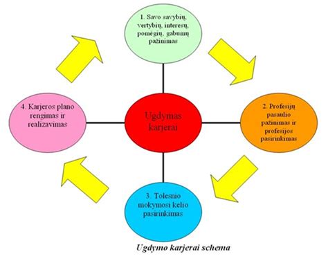 Diagrama, iliustruojanti placentos pirmeigos tipus