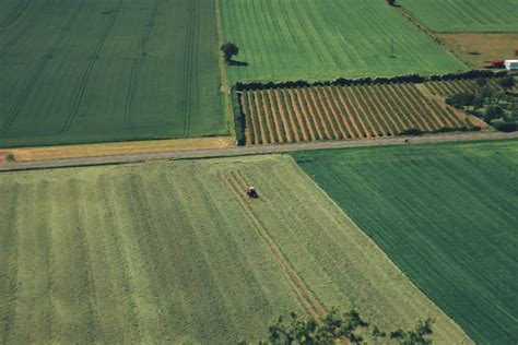 Romėniškas bareljefas vaizduojantis žemės ūkio sceną