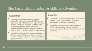 Simbolinė iliustracija, rodanti cinko trūkumo ir pertekliaus įtaką organizmui
