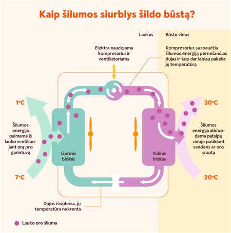 PCA ir šilumos žemėlapio analizė, iliustruojanti mėginių panašumus ir skirtumus
