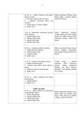 Amniocentezės procedūros schema