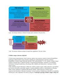 Infografika: Žmogaus gyvybės apsaugos principai ir teisinis statusas