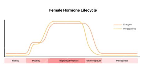 Diagrama, rodanti estrogeno ir LH lygio svyravimus per ovuliacijos ciklą