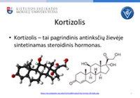 schematinis hormoninės kontracepcijos tablečių veikimo mechanizmas