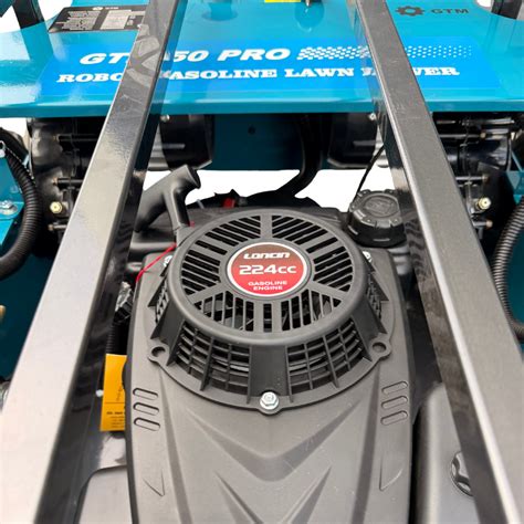 Infografika, vaizduojanti Bolingbroke'o vejos priežiūros sezono kalendorių