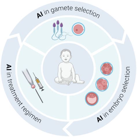 Artificial intelligence in IVF