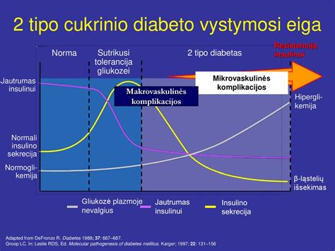 Schematinis 1 tipo diabeto vystymosi procesas