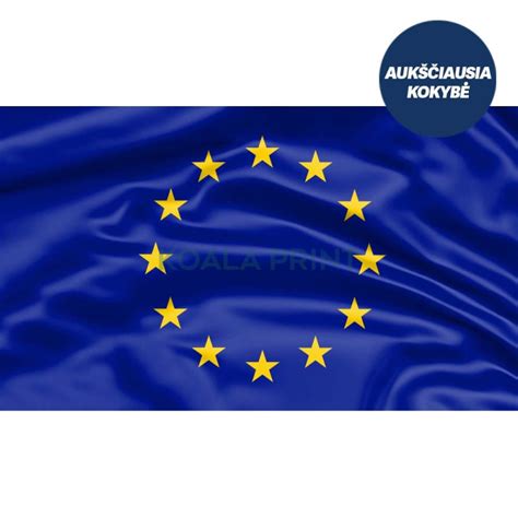 Europos Sąjungos vėliava su aborto simboliu