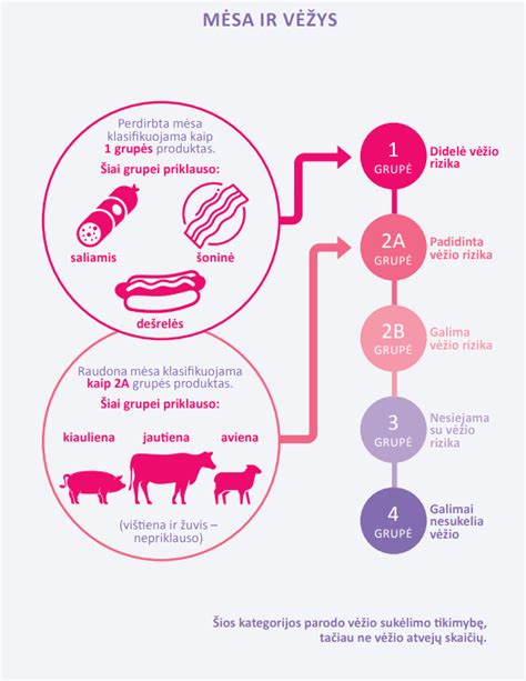 Scheminė diagramma: Veršelio mitybos svarba
