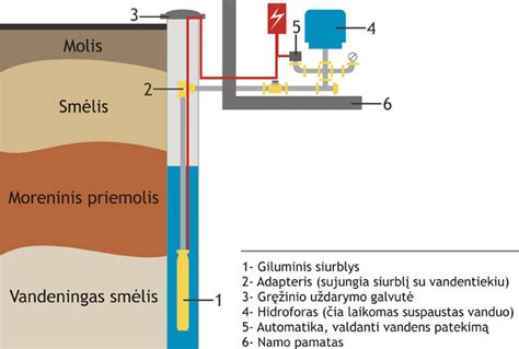 Blastocistų formavimosi schema