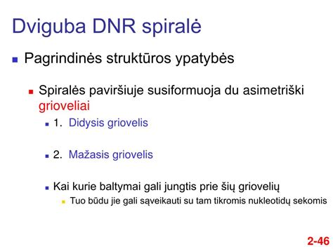 dviguba DNR spiralė