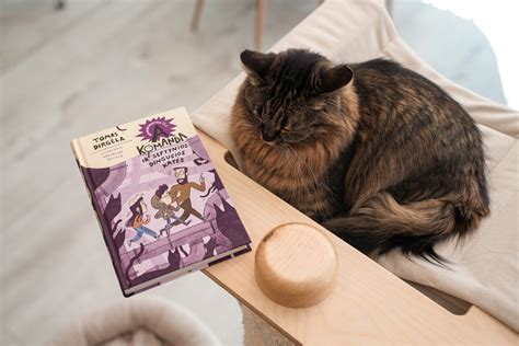 Septynios katės žaidžia